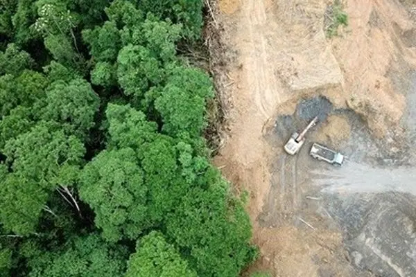 نابودی یک میلیون هکتار از جنگل‌های کشور در 6 دهه اخیر
