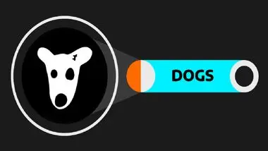 توکن DOGS تلگرام چیست و چگونه ایردراپ DOGS را دریافت کنیم؟