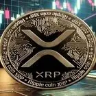 نمودار XRP/BTC خبر از سناریوهای صعودی می‌دهد / سه سناریوی محتمل برای قیمت ریپل