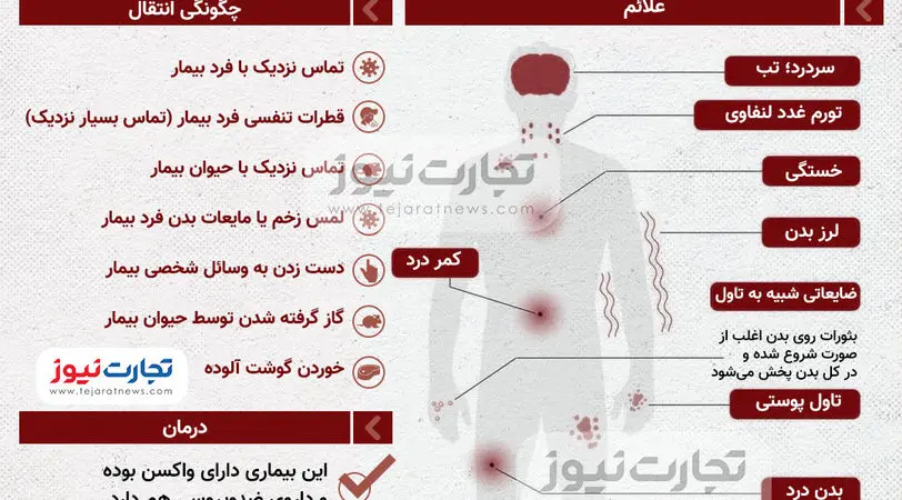 اینفوگرافی | آبله میمون چه علائمی دارد؟