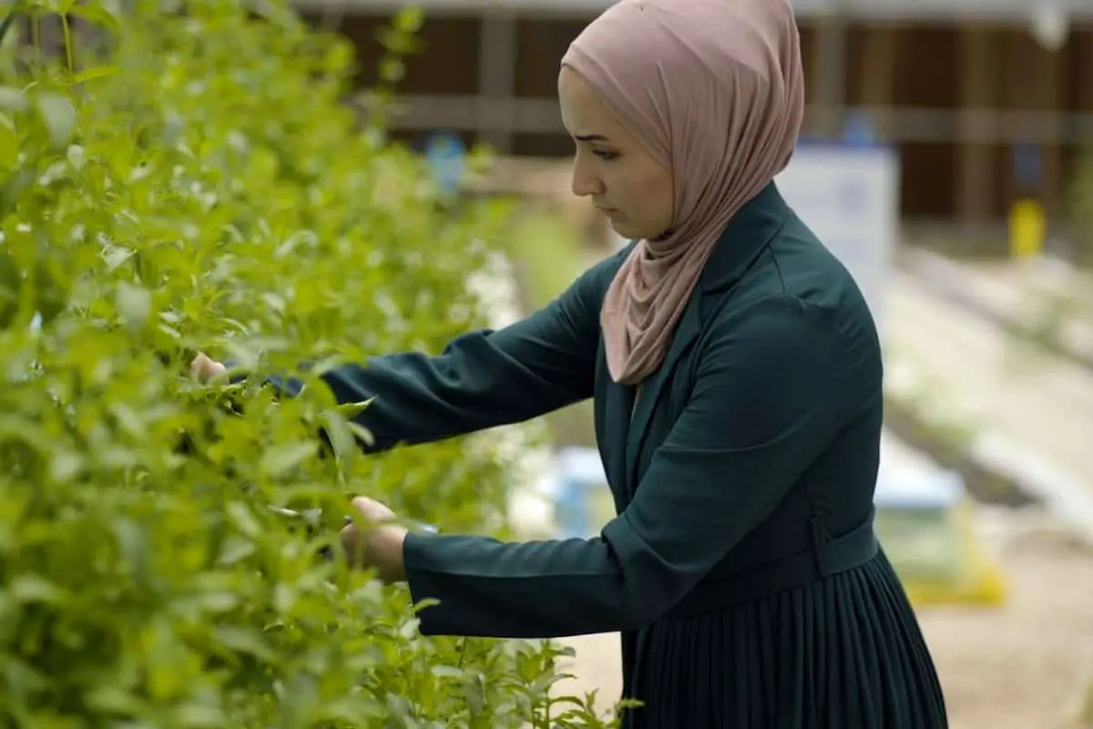 فعالیت زنان برای تقویت سیستم غذایی در اردن/ بانک جهانی برای کمک می‌آید