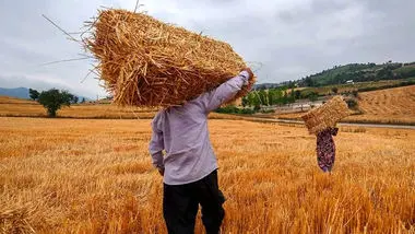 پرداخت ۱۲۱ همت از مطالبات کشاورزان