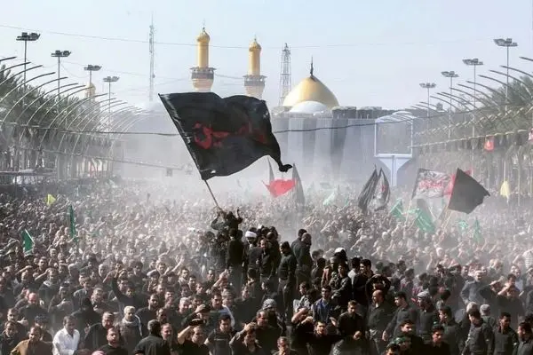 شرایط جستجوی مدارک و اشیاء گمشده زائران اربعین فراهم شد 