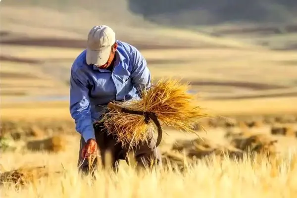 طرح اصلاح قانون بودجه ۱۴۰۳ به تایید شورای نگهبان رسید