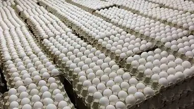 تولید روزانه ۳ هزار و ۸۰۰ تن تخم‌مرغ؛ مازاد بر نیاز کشور تولید داریم