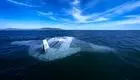 انتشار ویدئوی مانور زیردریایی بدون خدمه Manta Ray دارپا +ویدئو