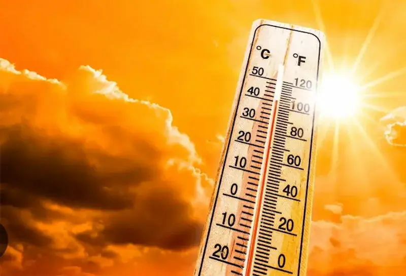 گرمای کشنده تابستان؛ چگونه می‌توانیم زنده بمانیم؟