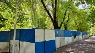 حصارکشی در پارک‌ها؛ نادیده گرفتن خواست مردم یا نمایش قدرت/ محمد درویش: تهران ملک شخصی شهردار نیست