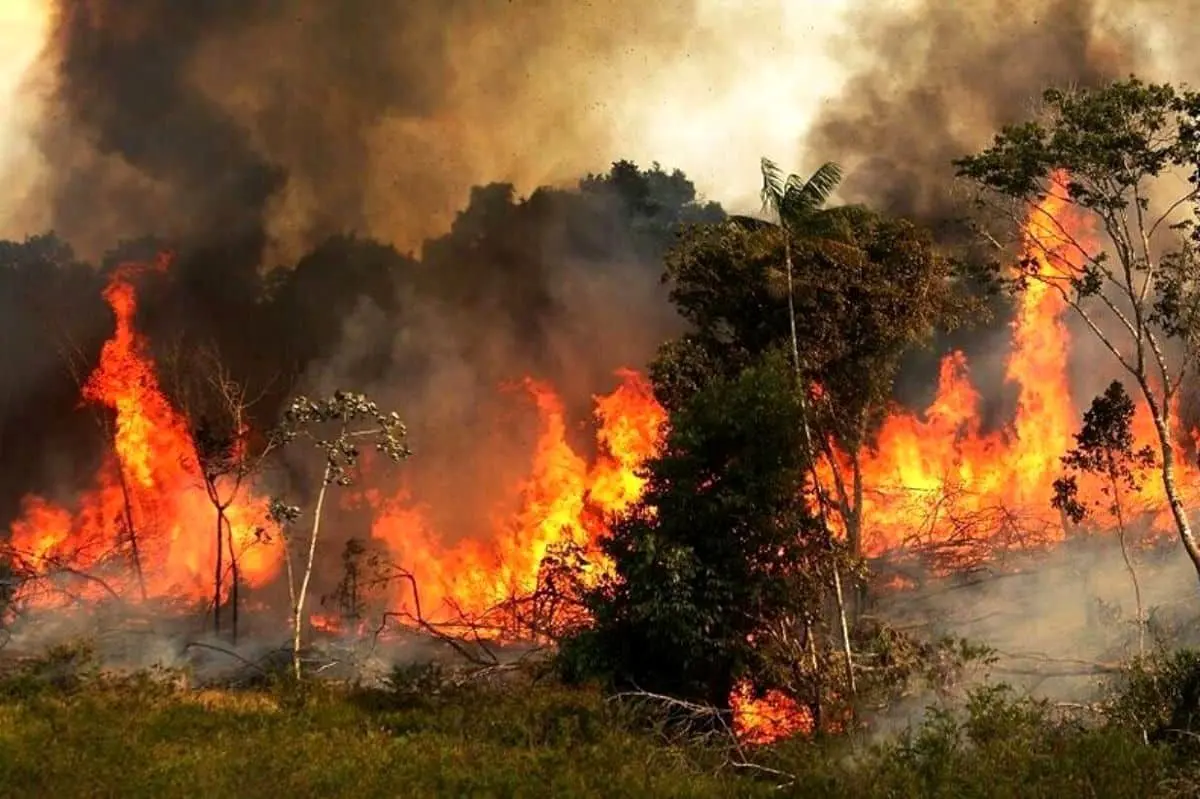 آتش سوزی گسترده در جنگل های چگنی و خرم آباد/حریق مهار شد