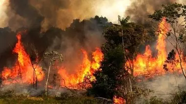 شناسایی و دستگیری 310 عامل آتش سوزی در لرستان