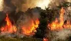 وقوع 200 فقره آتش سوزی در جنگل‌های لرستان در فصل گرما 