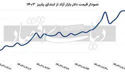  سایه انتخابات آمریکا بر بازار ارز/ آمدن ترامپ چه تاثیری بر قیمت دلار دارد؟
