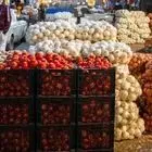 هویج و لوبیاسبز گران شد/ پیاز و گوجه‌فرنگی هم به تازی گران شده است!