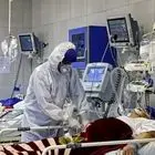 تب کریمه کنگو در ایران/چهار نفر مبتلا شدند
