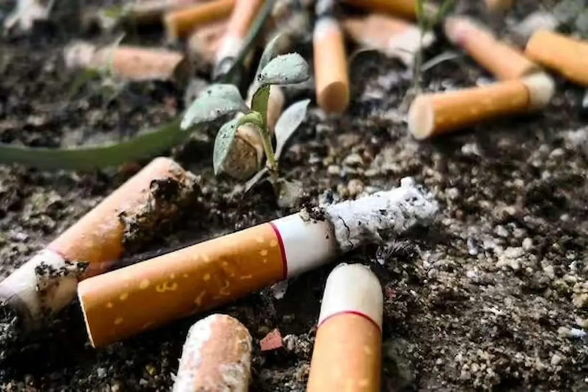 5.6 تریلیون ته سیگار در سال / تولید ته سیگار در کشورهای مختلف چگونه است؟