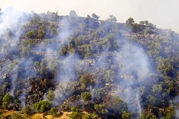 مهار ۸۰ درصد آتش‌ سوزی جنگل شهرستان دزپارت