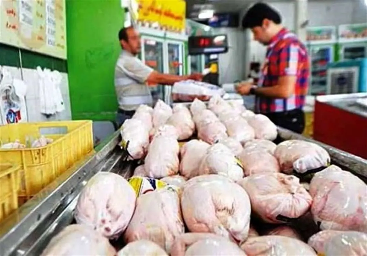 مرغ گران نمی‌شود/بازار گوشت مرغ تحت کنترل است