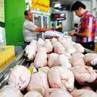 مرغ گران نمی‌شود/بازار گوشت مرغ تحت کنترل است