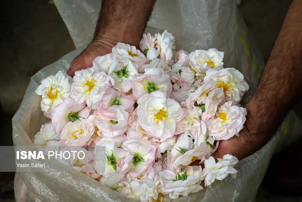 بهار باید حتما به روستای گیلده گیلان بروید + تصاویر و آدرس