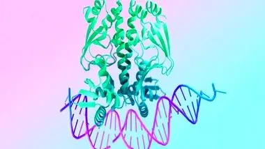 هوش مصنوعی DeepMind گوگل می‌تواند DNA را شبیه‌سازی کند!