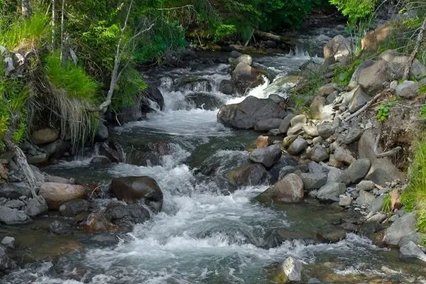 ارزش آب در ایران واقعی نیست