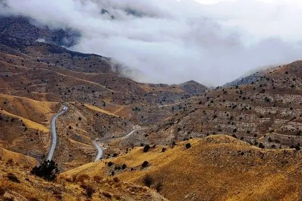 همه چیز درباره ببر مازندران ؛ چرا منقرض شد؟