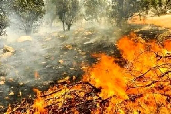آتش سوزی در اسکله آبادان+ویدئو