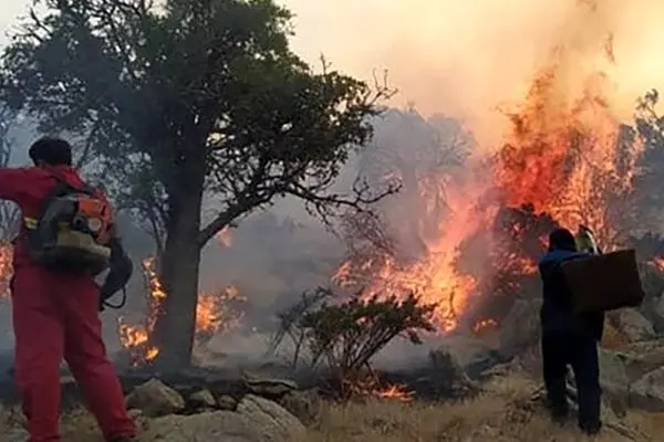 شناسایی مقصران آتش سوزی‌‌ جنگل های کهگیلویه و بویراحمد 