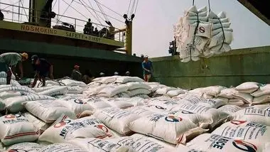 واردات ۲ میلیون تن برنج با ارز ۲۸۵۰۰ تومانی/ نصف محصول امسال به فروش نرفته است