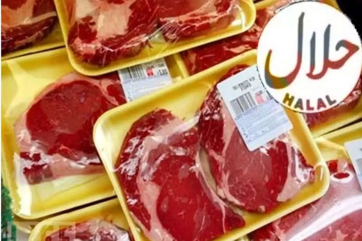 تولید گوشت حلال غیرحیوانی در کشور/ سهم ۲ درصدی ایران از بازار ۶۰۰۰میلیاردی محصولات حلال