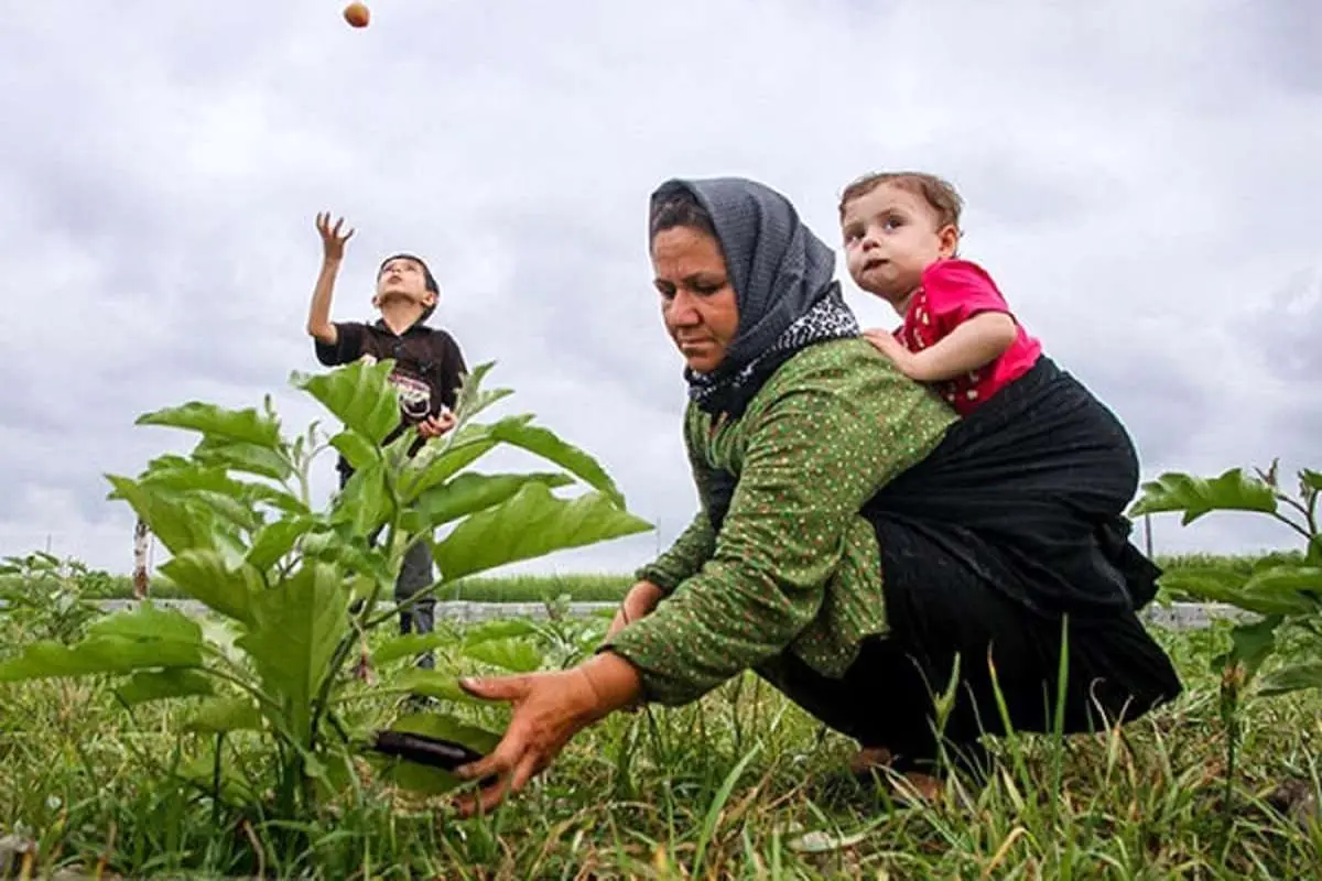 بیمه رایگان مادران روستایی و عشایر دارای ۳ فرزند و بیشتر