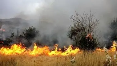 251 هکتار از مزارع کشاورزی لرستان دچار حریق شد