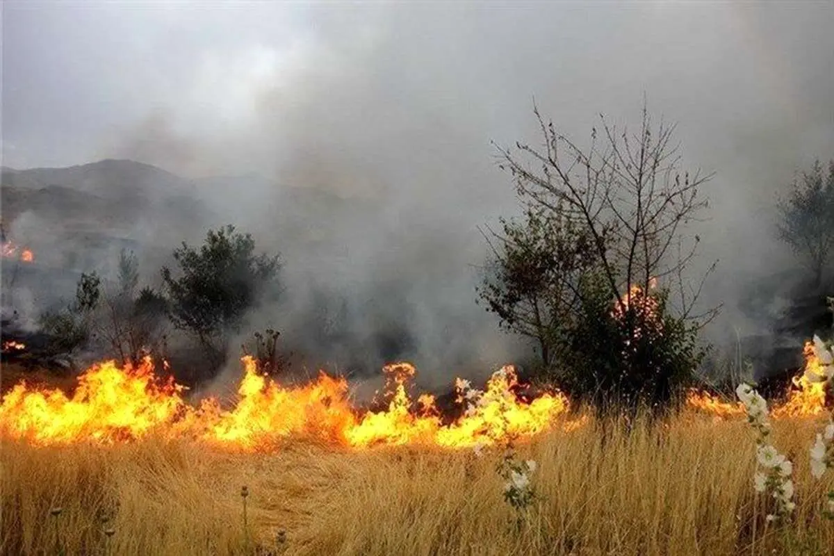 251 هکتار از مزارع کشاورزی لرستان دچار حریق شد